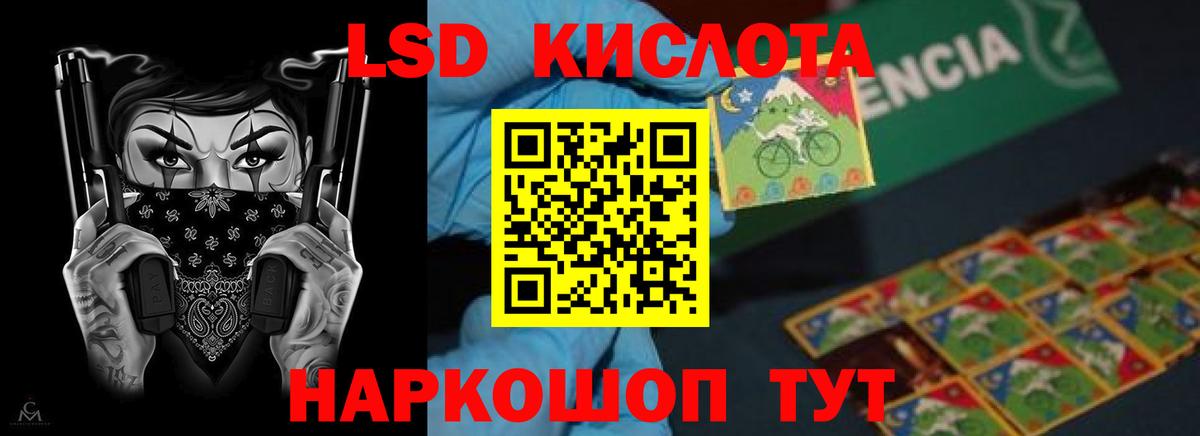 Псилоцибиновые грибы Сатка