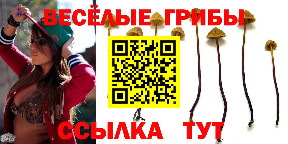 Псилоцибиновые грибы мицелий Сатка